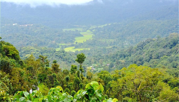 Kodagu is included in the ecologically sensitive zone recommended by the K Kasturirangan Committee on Western Ghats. Photo credit: S Gopikrishna Warrier Kodagu is included in the ecologically sensitive zone recommended by the K Kasturirangan Committee on Western Ghats. Photo credit: S Gopikrishna Warrier