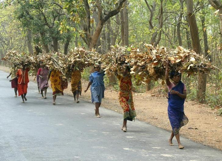 Adivasi women bring home forest produce in West Bengal. Photo credit: Reuters Adivasi women bring home forest produce in West Bengal. Photo credit: Reuters